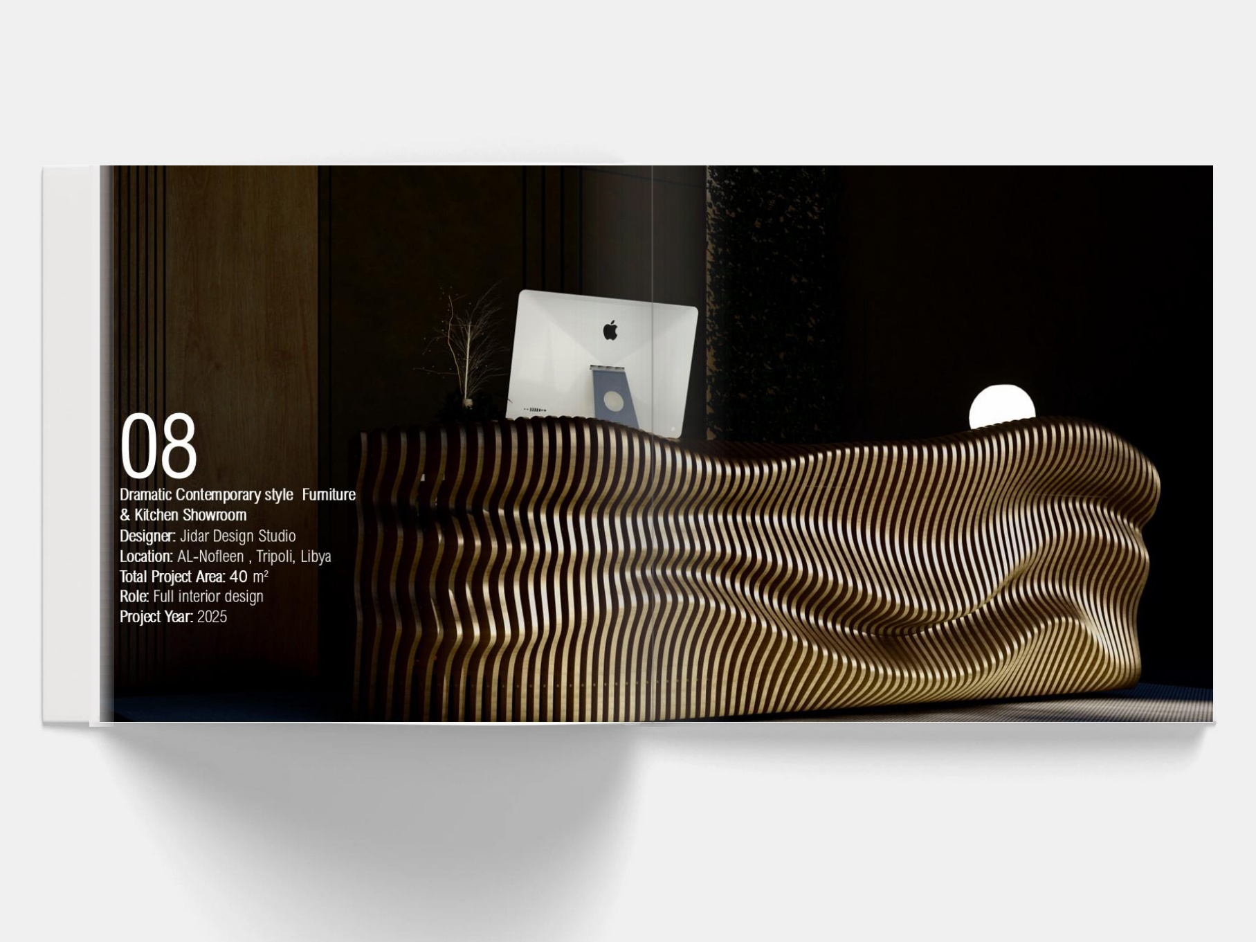 Detailed facade and material study